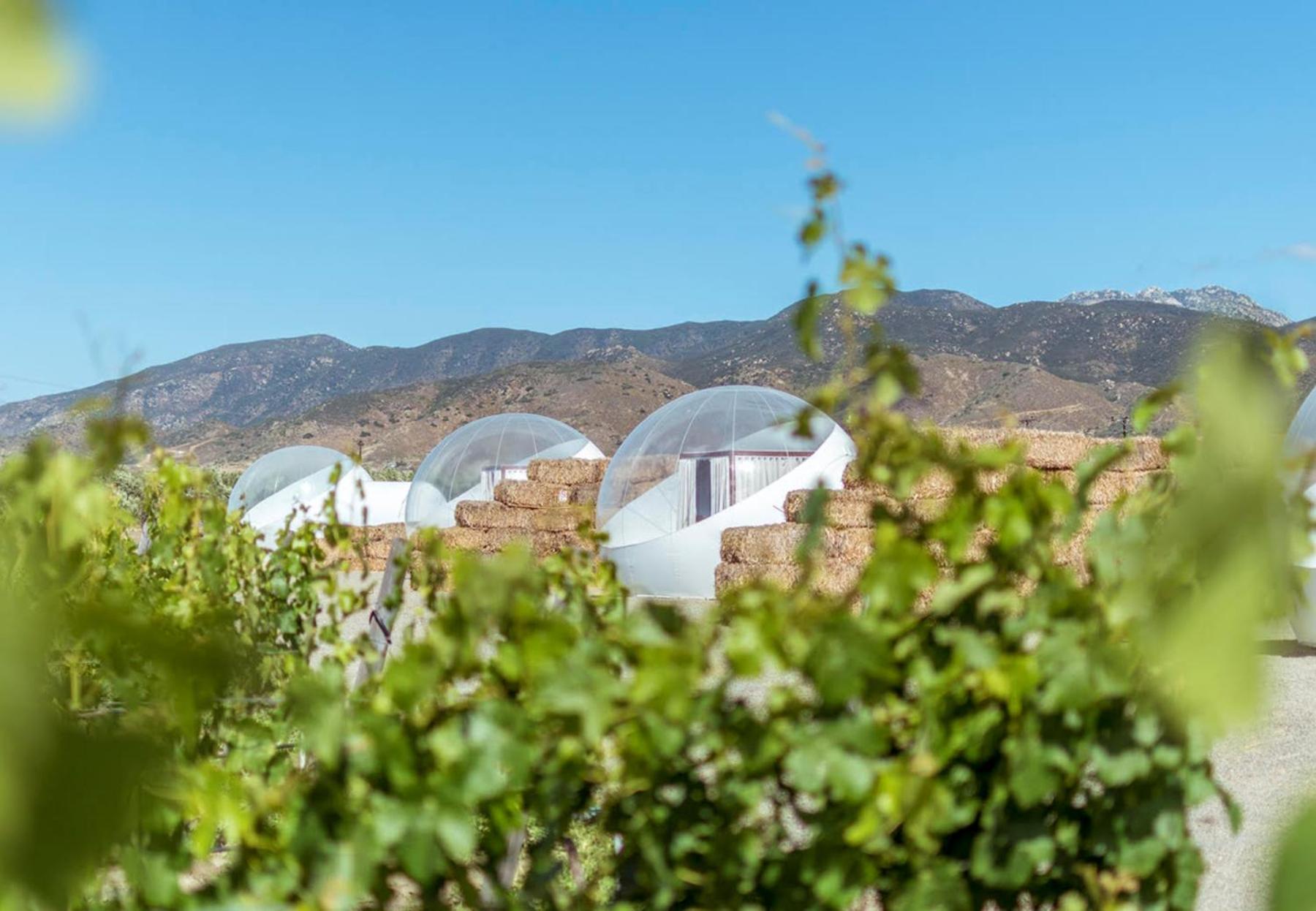 Campera Valle De Guadalupe Ensenada Exteriör bild