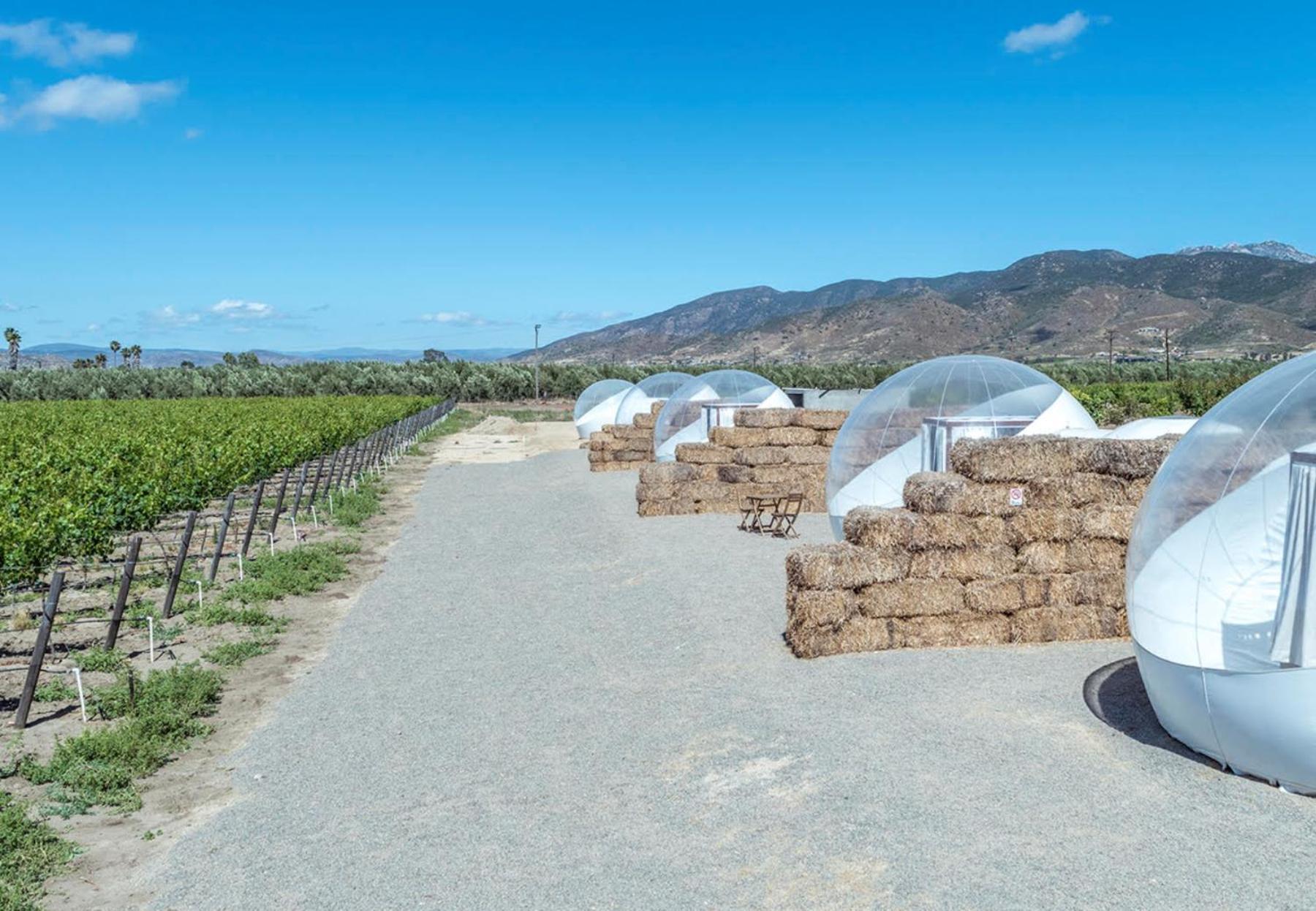 Campera Valle De Guadalupe Ensenada Exteriör bild